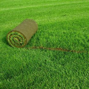 Рулонный газон: мастер-класс по укладке и советы при выборе. Особенности применения рулонного газона в ландшафтном дизайне (175 фото)