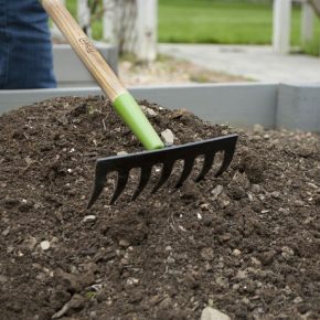 Как выбрать садовые грабли: советы по выбору инструмента для повседневной работы (105 фото)