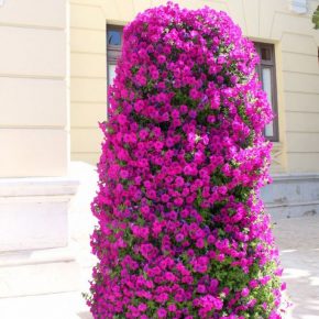 Вертикальная клумба своими руками: простые варианты создания и советы по выбору цветов и растений (155 фото)
