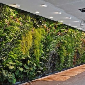 Вертикальное озеленение: 145 фото интересных конструкций и идеи применения в дизайне сада и интерьера